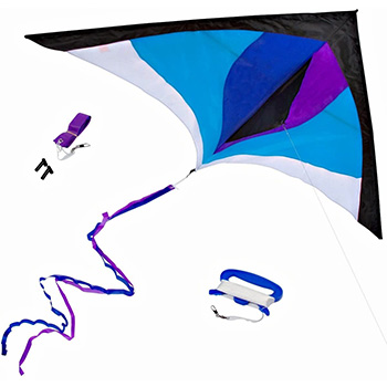 Single Best Delta Kite Easy Fly for Kids and Beginners