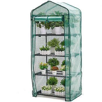 A single AMERLIFE 4 Tier Mini Greenhouse