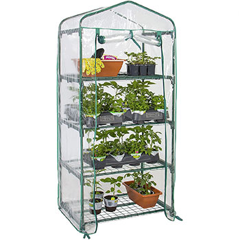 A single Best Choice Products 4-Tier 27x19x63-inch Mini Greenhouse