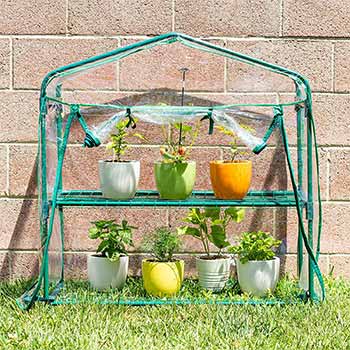 A single Educational Insights GreenThumb Greenhouse