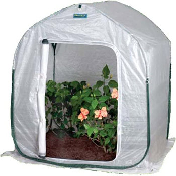 A single Flower House PlantHouse 2 Pop-Up Plant House