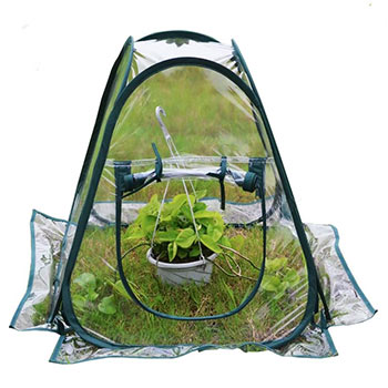 A single Mini Pop up Greenhouse Small Indoor Outdoor Gardening