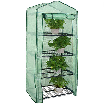 A single Nova Microdermabrasion Mini Greenhouse