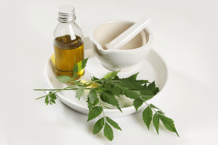 neem oil Natural Pesticides