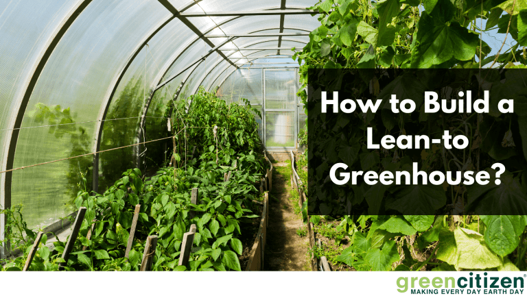 Lean-to Greenhouse