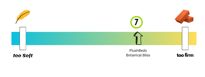 PlushBeds Botanical Bliss firmness analysis